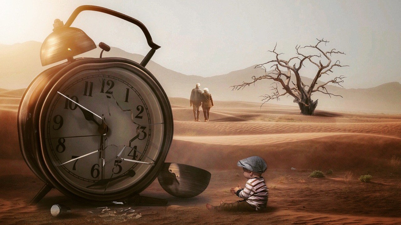 The Marvels and Mysteries of Memory: Understanding Our Brain's Design