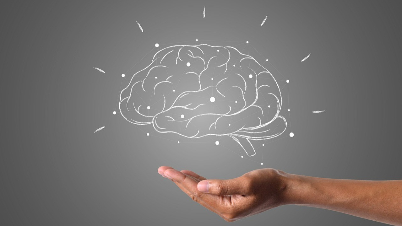 Unraveling the Brain's Adaptability: Neuroplasticity, Balance, and Spatial Awareness