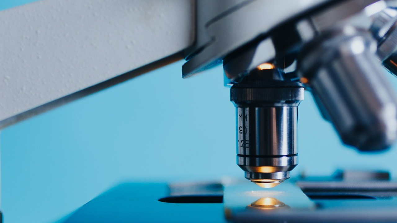 Harnessing the Immune System: The Role of Cancer Immunotherapy in the Fight Against Cancer
