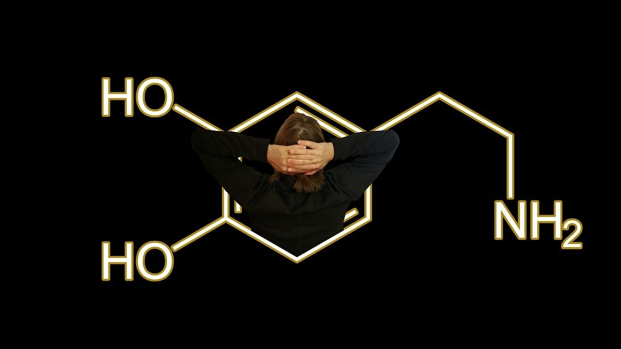 The Role and Function of Hormones in the Endocrine System