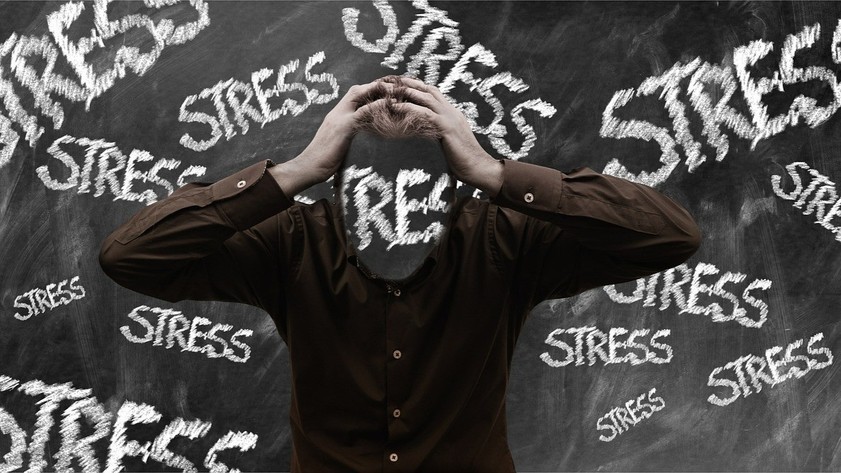 The Body, Mind, and Stress: Understanding the Interconnectedness of Health