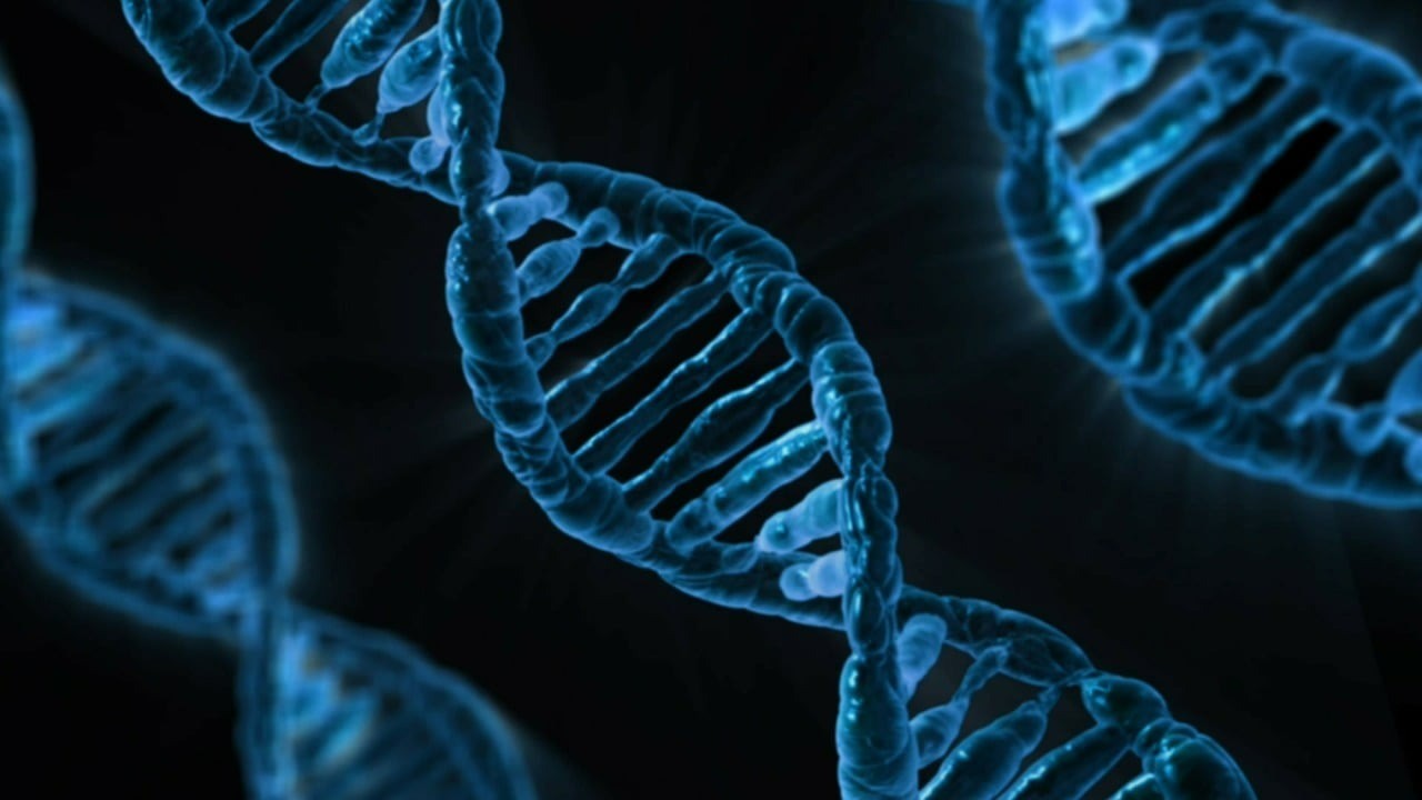 The Role of Genetics in Cognitive and Emotional Traits: Understanding Heritability and Human Variation