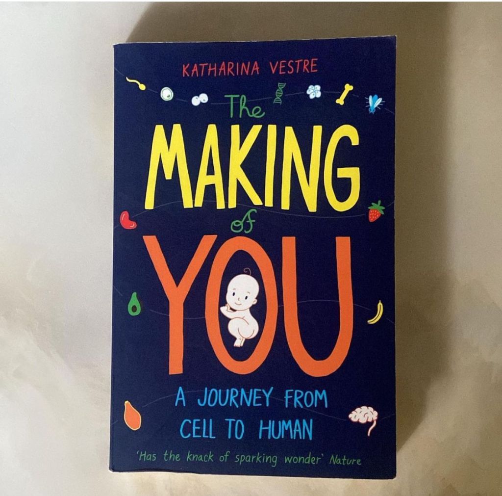 The Making of You: A Journey from Cell to Human by Katharina&nbsp;Vestre