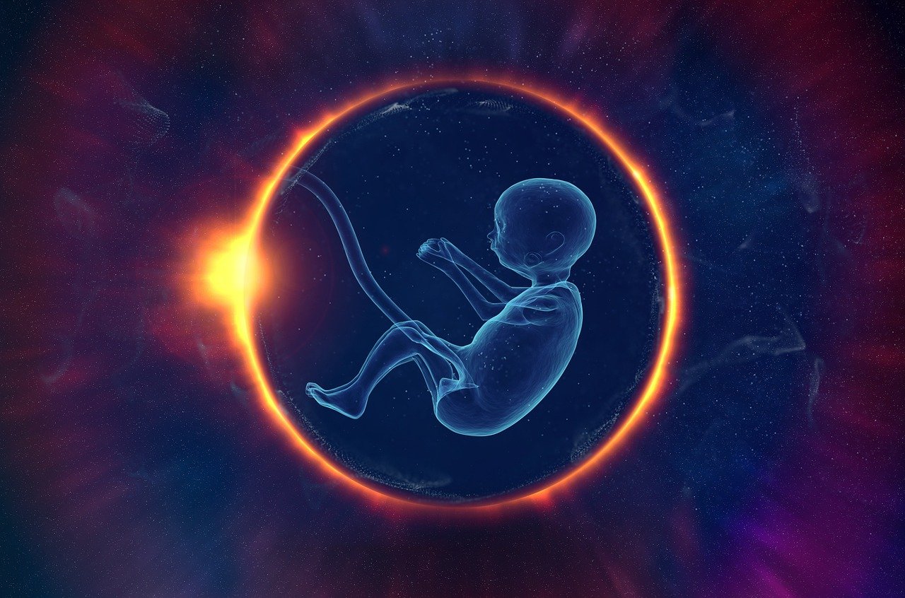 Understanding Pregnancy Weeks: A Timeline of Baby’s Development