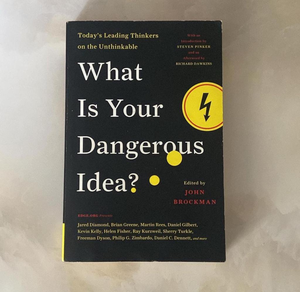 What Is Your Dangerous Idea? : Today’s Leading Thinkers on the Unthinkable by John Brockman&nbsp;(Editor)