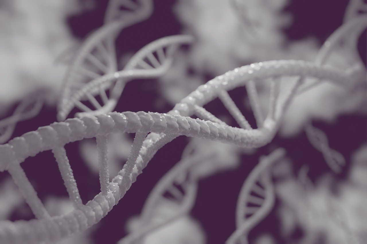 The Basics of Gene Editing: Mechanism and Impact Explained