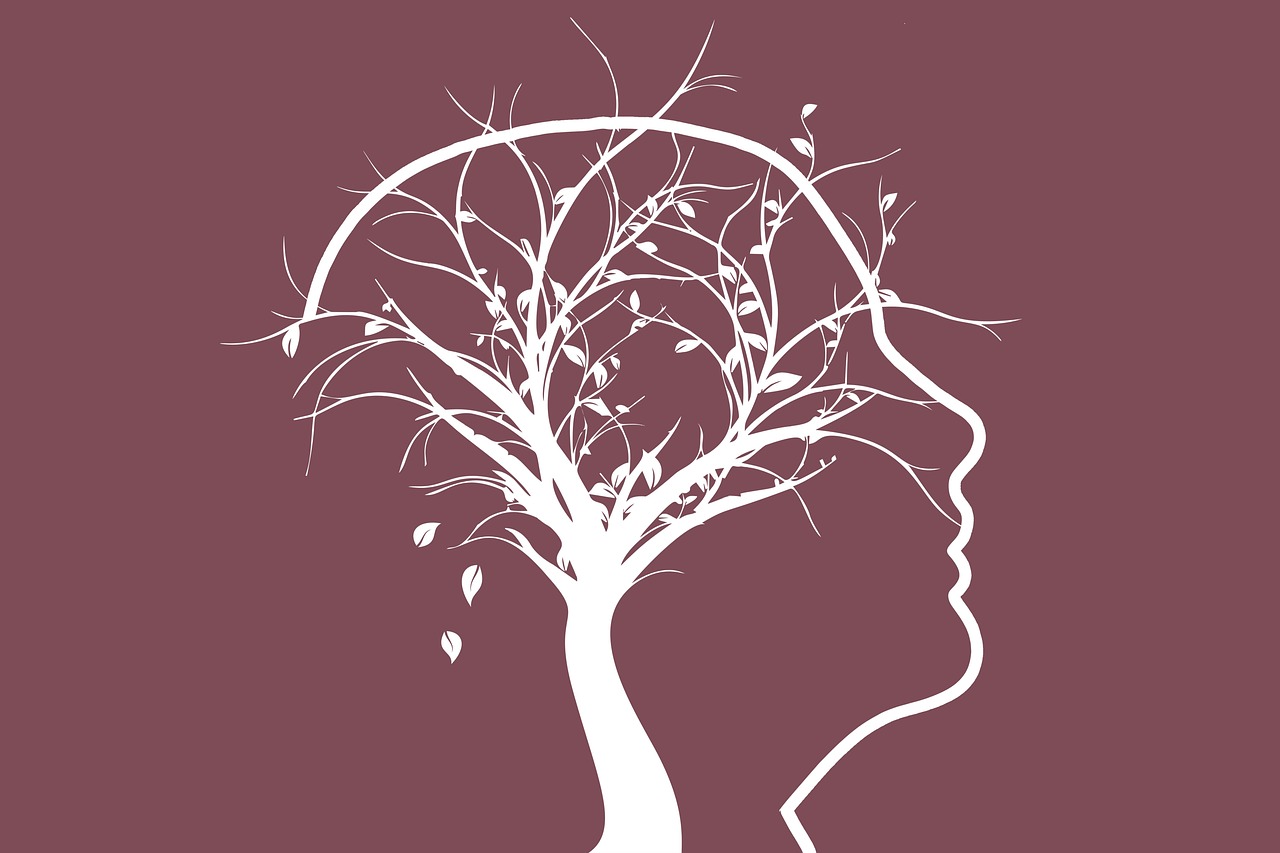 The Brain’s Evolution: Learning and Memory Explained