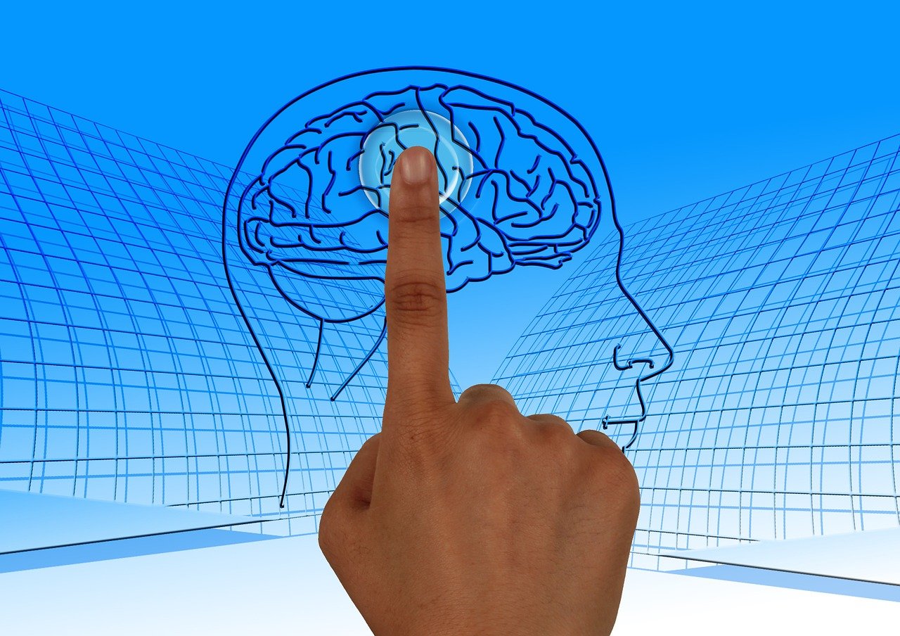 Understanding the Brain’s Default Mode Network