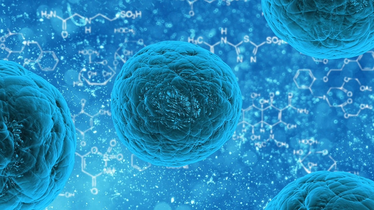 Understanding Life Before Animals: Insights on Single-Celled Organisms