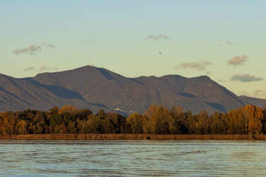 The Vanishing Symphony of Life: Understanding Extinction and Ecosystem&nbsp;Fragility