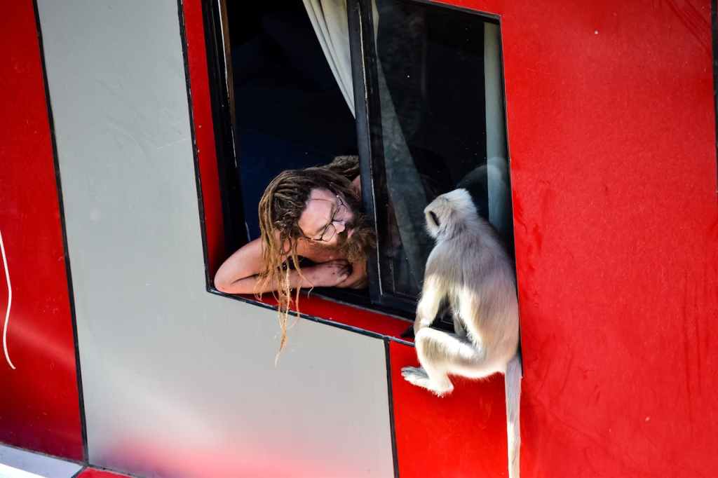 Beyond Rationality: Why Humans (and Monkeys) Defy Economic&nbsp;Perfection