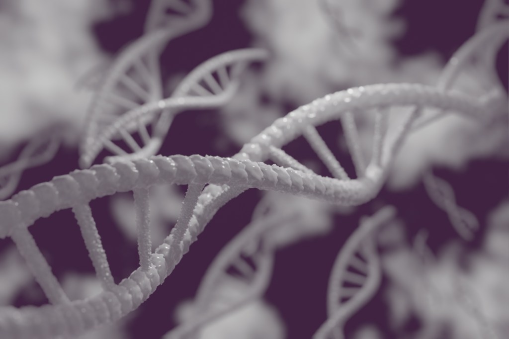 The Guardian That Says No: Why Our Cells Resist Gene&nbsp;Edits