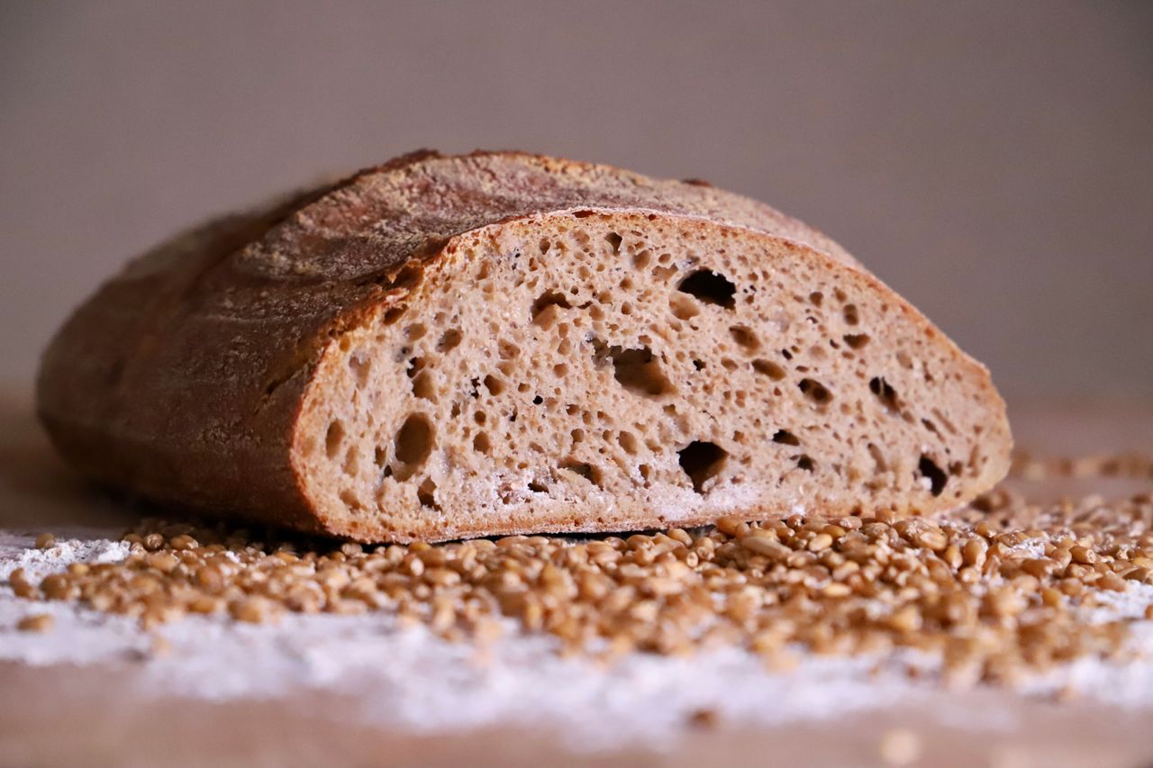 The Silent Fire: How Gluten, Sugar, and Cholesterol Myths Are Damaging Your Brain