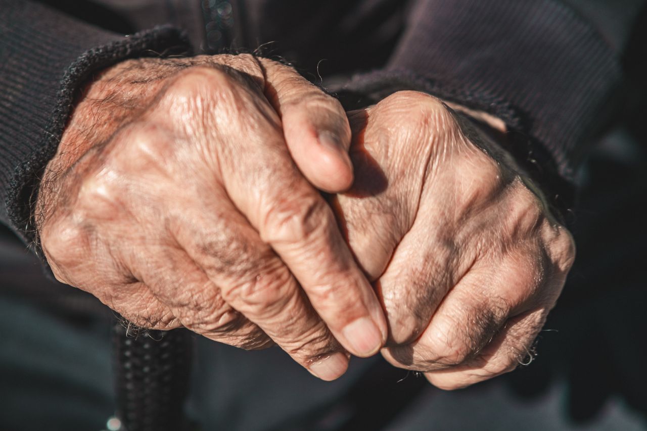 When the Immune System Ages: From Memory Cells to Clogged Arteries